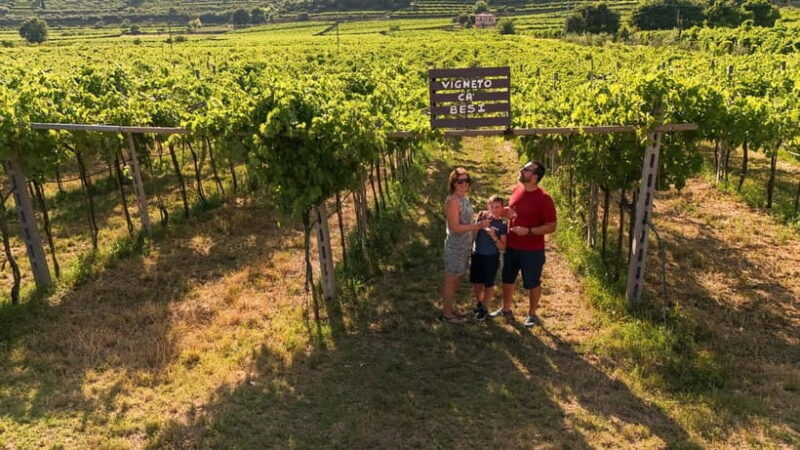 VALPOLICELLA: DISCOVER IT IN 5 GLASSES - Final Thoughts on Value