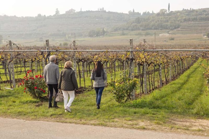 VALPOLICELLA: DISCOVER IT IN 5 GLASSES - FAQ