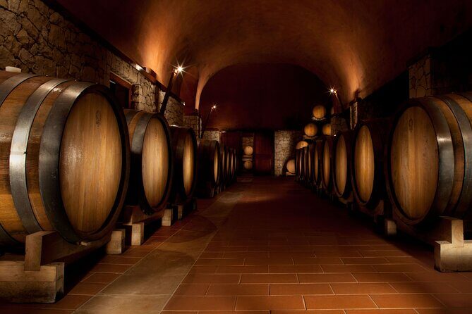 Valpolicella Lunch or Dinner Wine & Food tasting with Amarone - The Winery Tour: Touching the Heart of Valpolicella