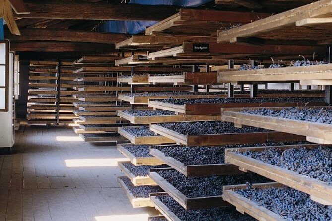 Valpolicella - The wine paradise - Key Points