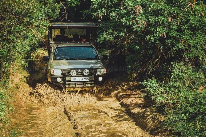 VALUE PACK! One Day Safari Tour to Yala and Udawalawa Parks - What’s Included and What’s Not