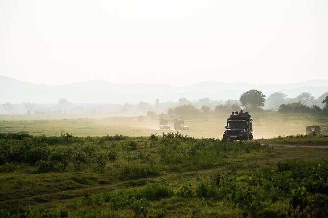 VALUE PACK! One Day Safari Tour to Yala and Udawalawa Parks - Deep Dive: Why This Tour Works
