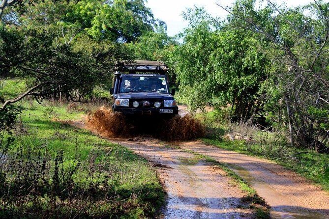 VALUE PACK! One Day Safari Tour to Yala and Udawalawa Parks - Who Should Consider This Tour?