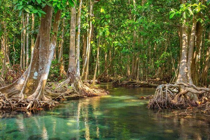 Vam Sat Mangrove Forest - VIP Private Tour from Ho Chi Minh City - Transportation & Guides: Comfort and Expertise