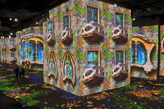 Van Gogh & Carrières de Lumières Half-Day Tour from Avignon - A Detailed Breakdown of the Experience