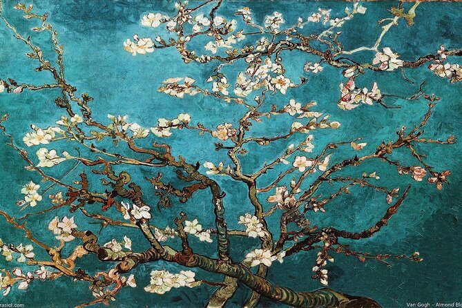 Van Gogh Museum Amsterdam Exclusive Tour w/ Reserved Entry - Practical Details & Tips