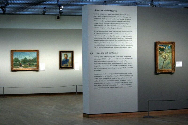 Van Gogh Museum Private Guided Tour - Analyzing the Value