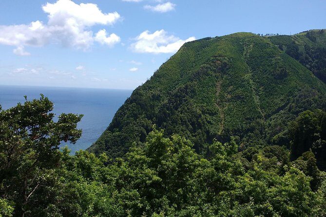 Van  Scenictour  Nordeste / Povoação  Full Day/ with lunch (Shared) - Pricing and Value