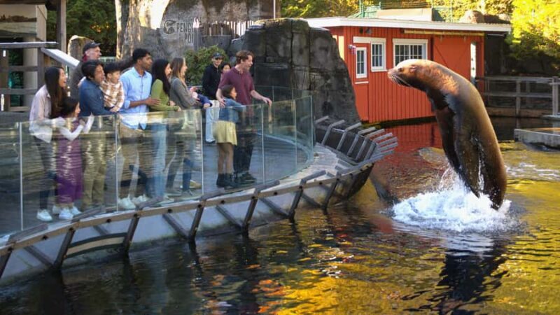 Vancouver Aquarium: Skip-the-Line Ticket - Key Points