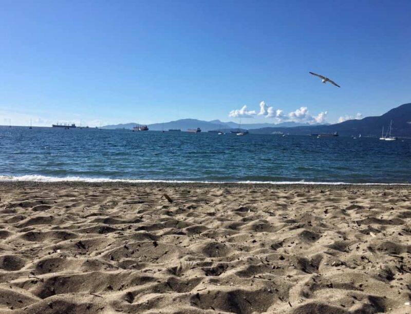 Vancouver Beaches Private Guided Tour - Sea to City - Key Points