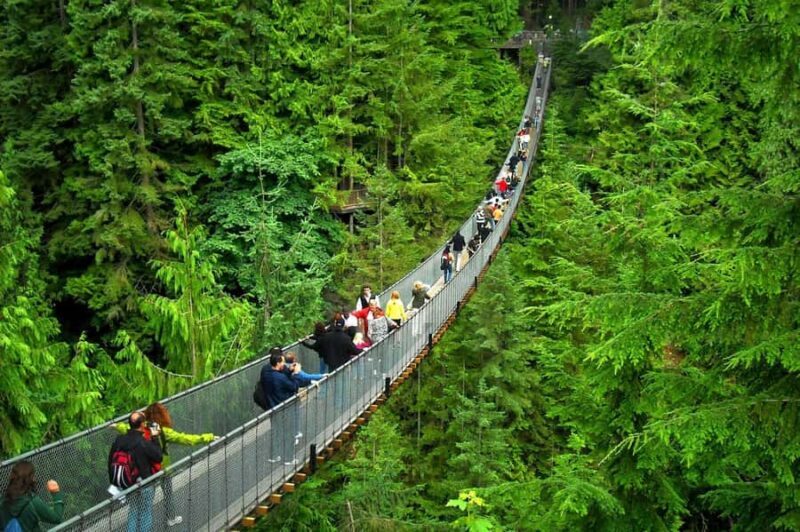 Vancouver: Capilano Bridge & Granville Island Highlights - An In-Depth Look at the Tour Experience