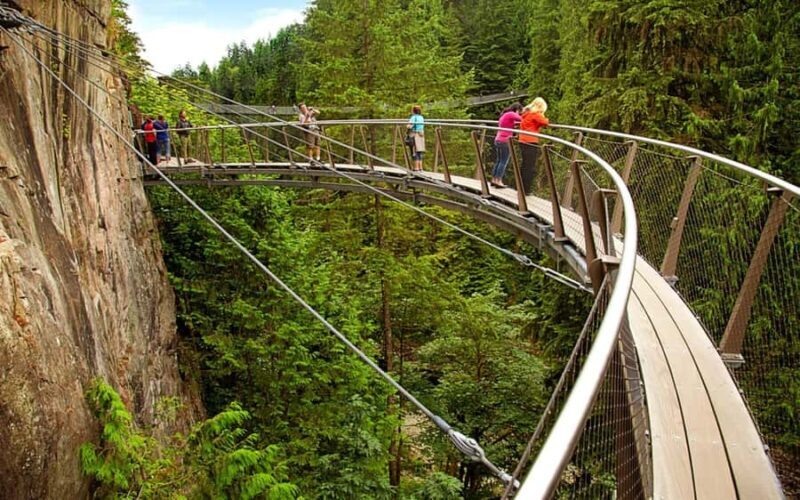 Vancouver: Capilano Bridge & Granville Island Highlights - Who Will Love This Tour?