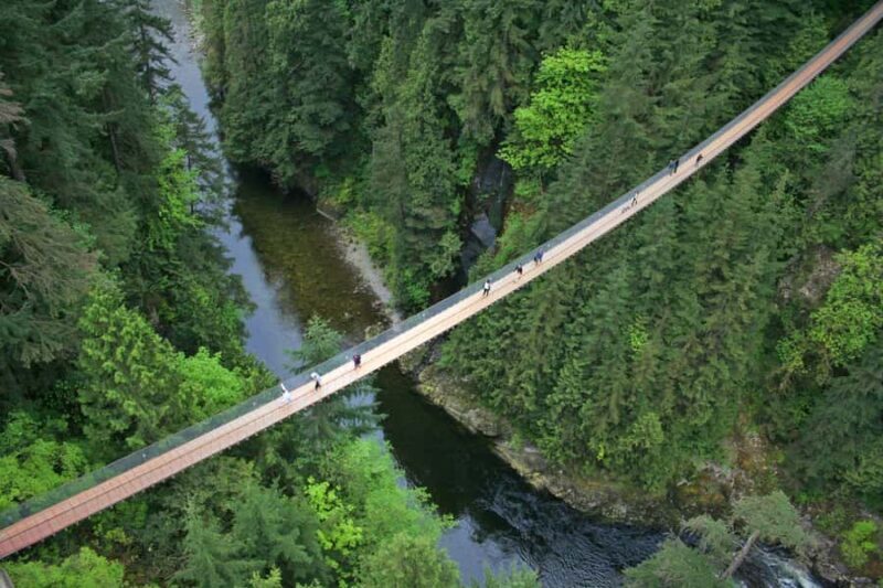 Vancouver: Capilano Bridge, Grouse Mountain & Aquabus Tour - What Makes This Tour Stand Out?