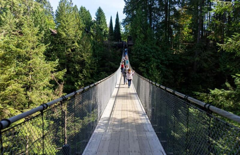 Vancouver: Capilano Bridge, Grouse Mountain & Aquabus Tour - The Experience: What You Can Expect