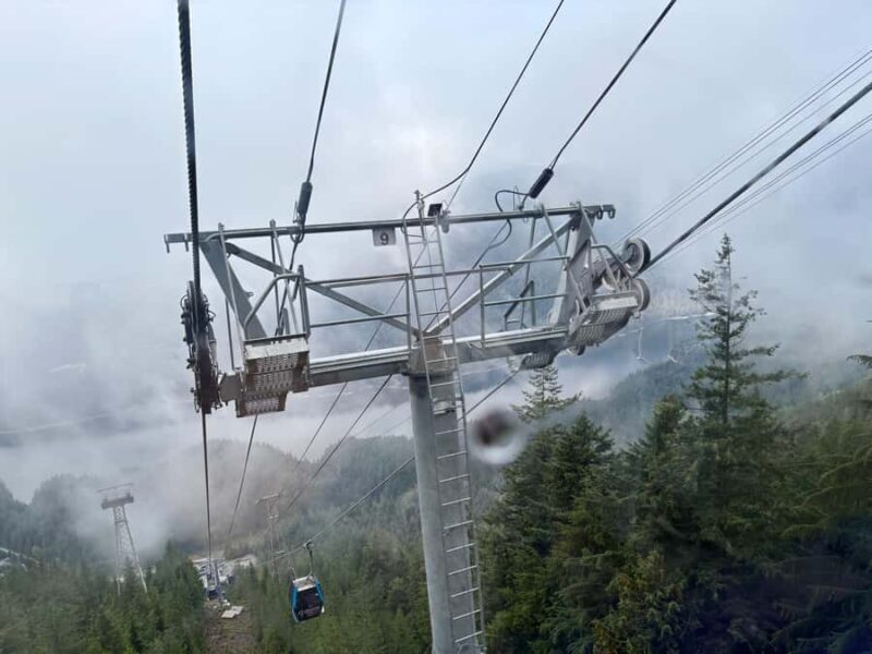 Vancouver: Capilano Bridge, Grouse Mountain & Aquabus Tour - Who Should Consider This Tour?