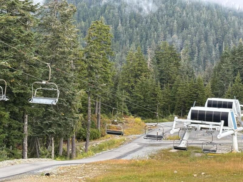 Vancouver: Capilano Bridge, Grouse Mountain & Aquabus Tour - The Sum Up: Is This Tour Worth It?