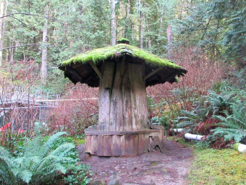 Vancouver: Capilano River Hatchery Love the Land Tour - What’s the Tour All About?