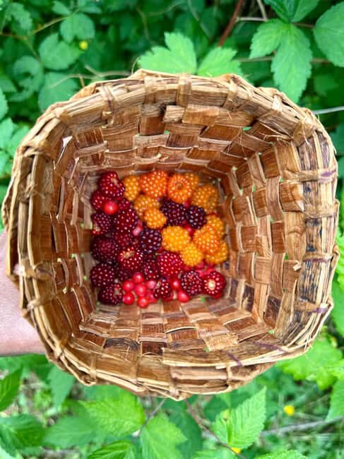 Vancouver: Capilano River Hatchery Love the Land Tour - The Value and Practical Considerations