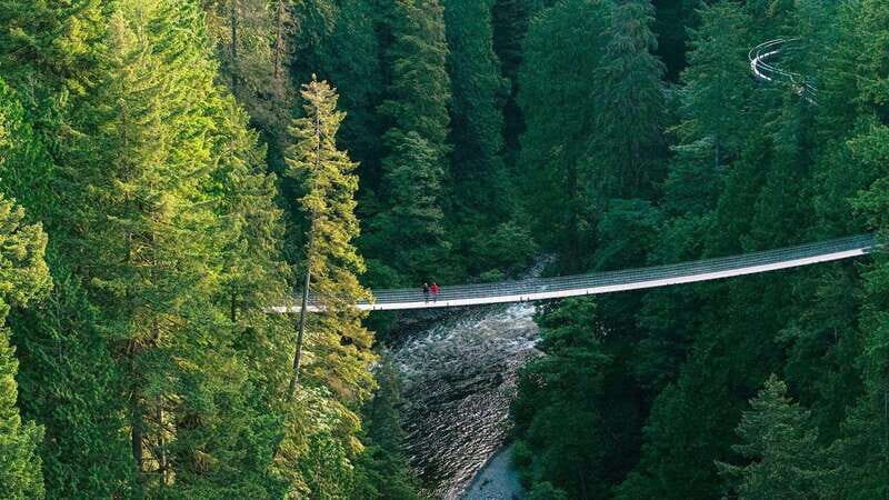 Vancouver: Capilano Suspension Bridge Park Ticket - A Closer Look at the Experience