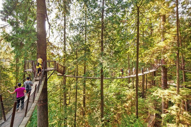 Vancouver, Capilano Suspension & Grouse Mountain Private Tour - Key Points