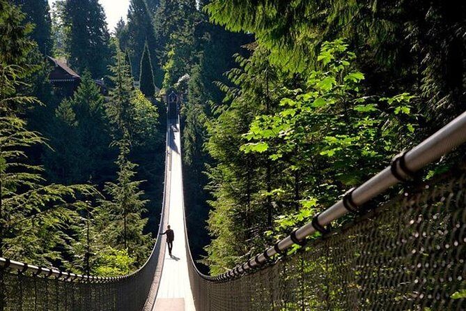 Vancouver, Capilano Suspension & Grouse Mountain Private Tour - Who This Tour Is Best For