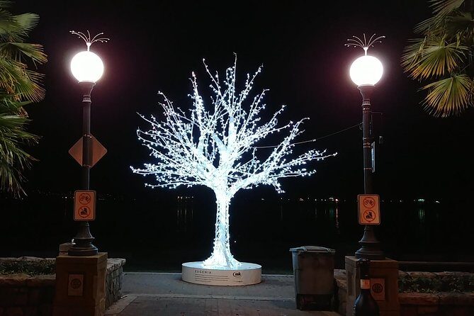 Vancouver Christmas Festival of Lights - Stop 1: VanDusen Botanical Garden Festival of Lights