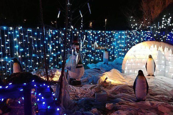 Vancouver Christmas Festival of Lights - Value and Cost