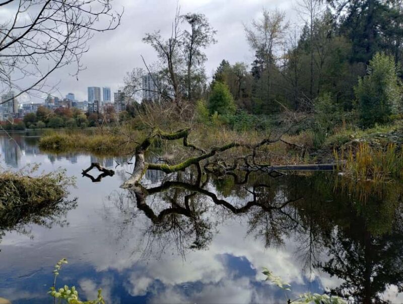 Vancouver: City Car Tour, Stanley Park, Granville Island - Practical Considerations