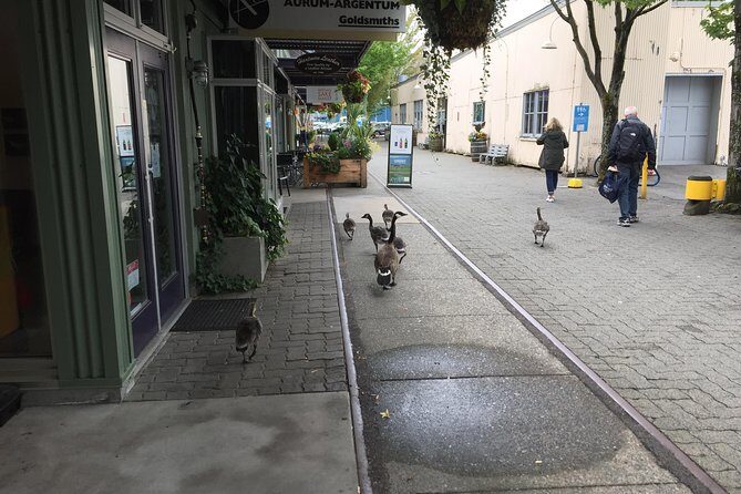 Vancouver City Finest plus North Shore Adventure (Private Tour Full day) - Price and Value