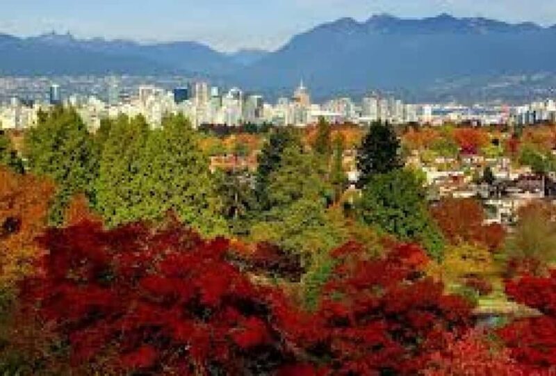 Vancouver: City Highlights Tour with Guide - Practical Tips