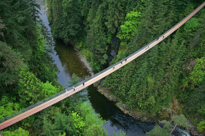 Vancouver City Sightseeing Tour: Capilano Suspension Bridge & Vancouver Lookout - A Deep Dive into the Vancouver Sightseeing Experience