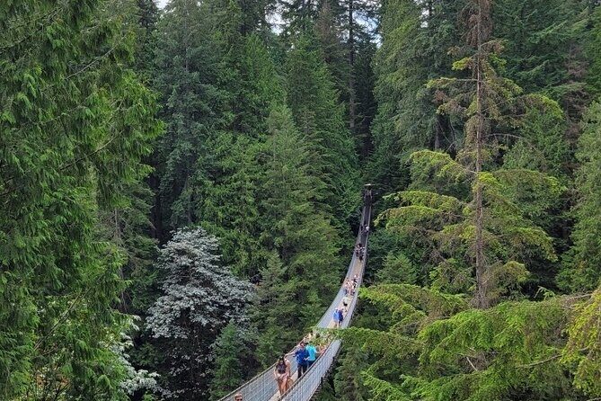 Vancouver City Tour: Capilano Bridge and Stanley Park - Key Points