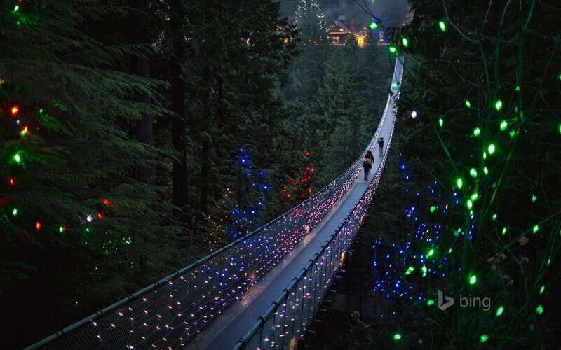 Vancouver: City Tour with Capilano Suspension Bridge - An Introduction to the Vancouver Experience