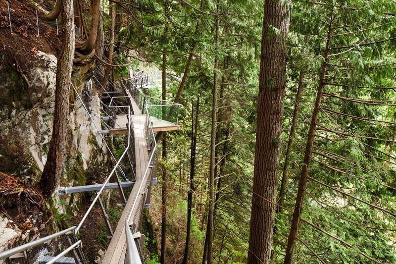 Vancouver: City Tour with Capilano Suspension Bridge - The Sum Up