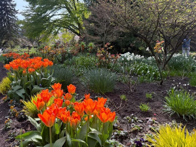 Vancouver City Tour+VipCar+Stanley Park+ChinaTown/SmallGroup - Who Will Love This Tour?