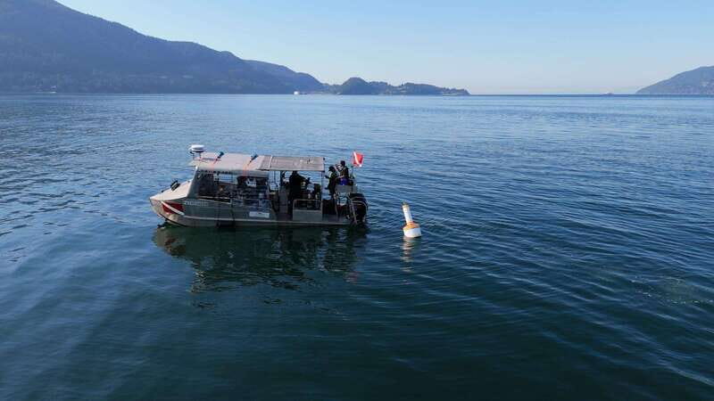 Vancouver: Discover the Best SCUBAdiving Sites by Boat - FAQ