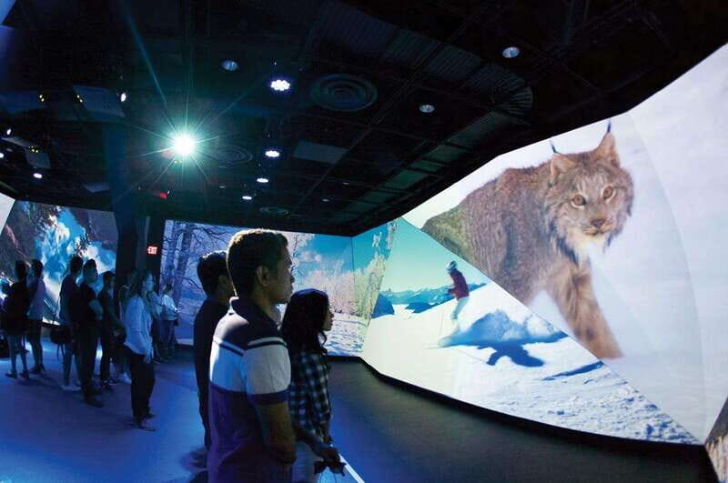 Vancouver: Flyover Experience Ticket - What Travelers Love Most