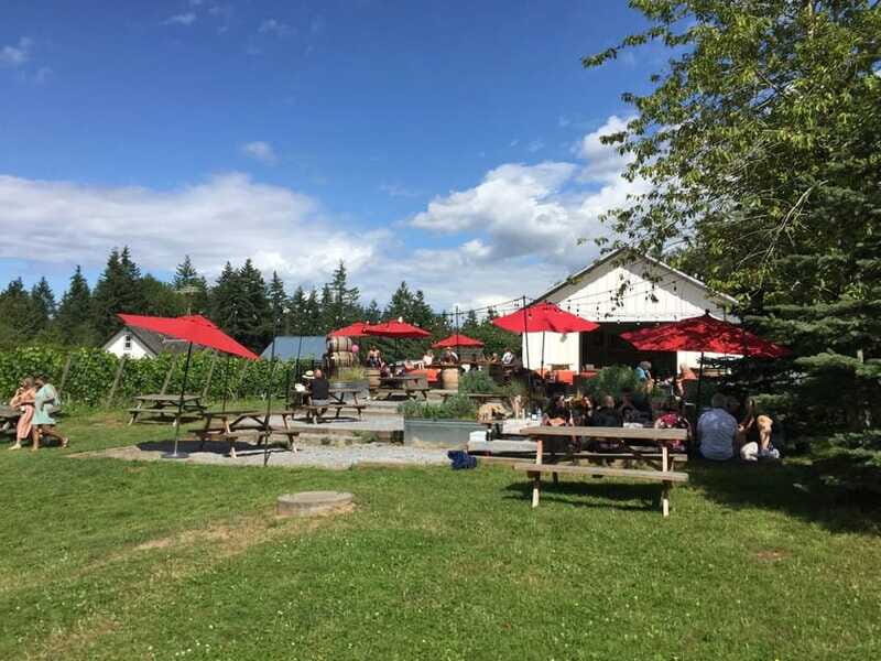 Vancouver: Fraser Valley Wine Tasting Tour - Who Will Love This Tour?