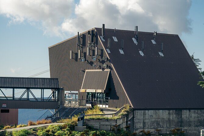 Vancouver Grouse Mountain and Granville Island Tour - Exploring Grouse Mountain: Nature’s Panorama and More