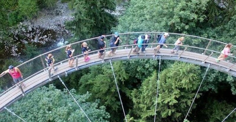 Vancouver Grouse Mountain & Capilano Suspension Bridge - Logistics and Comfort