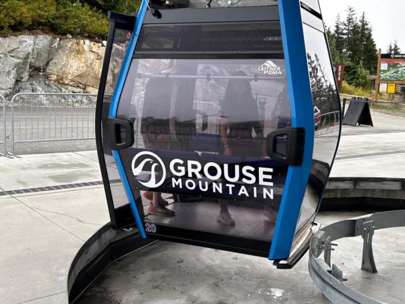 Vancouver Grouse Mountain & Granville Island Tour - Introduction: A Well-Rounded Vancouver Experience
