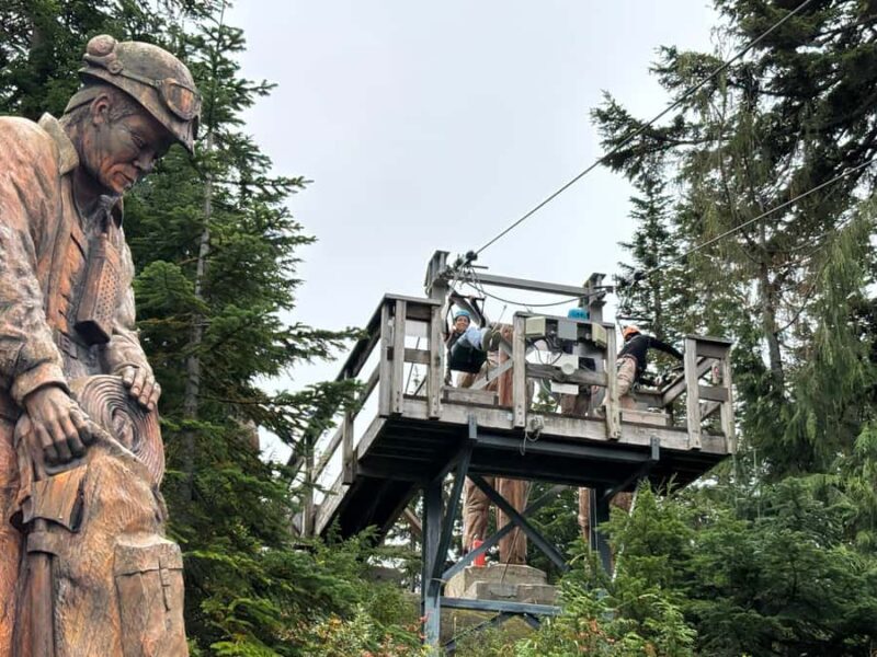 Vancouver Grouse Mountain & Granville Island Tour - Who Will Love This Tour?