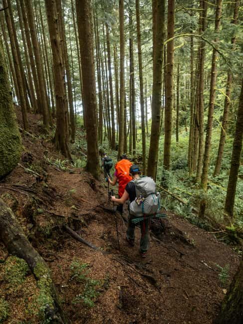 Vancouver: Guided Hiking Highlights at Grouse & Lynn Canyon - Key Points