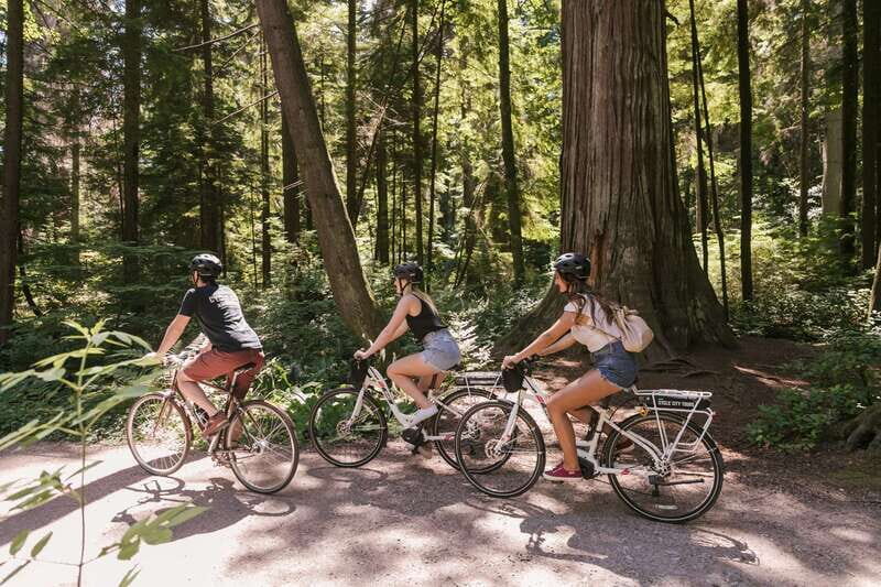 Vancouver: Half-Day City Highlights E-Bike Tour Age 16+ - Key Points