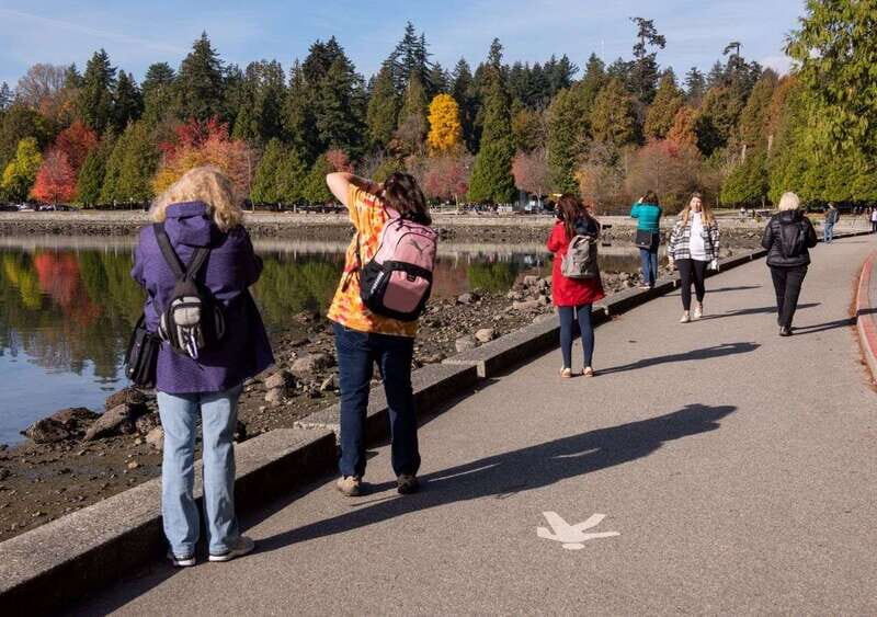 Vancouver: Highlights & Hidden Gems Private Tour - Who Will Love This Tour?