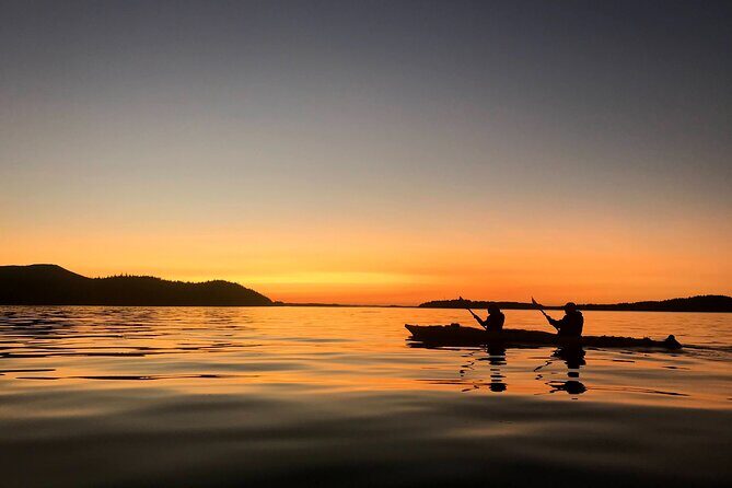 Vancouver Island: 2-Hour Evening Kayak Tour from Telegraph Cove - Who Will Love This Tour?