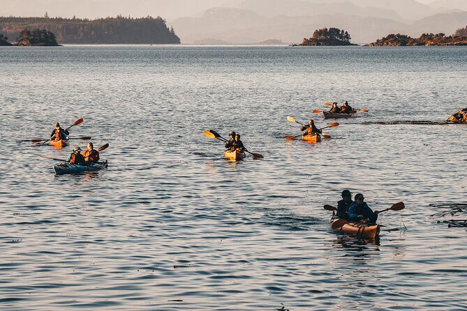 Vancouver Island: 2-Hour Evening Kayak Tour from Telegraph Cove - The Sum Up: Is It Worth It?
