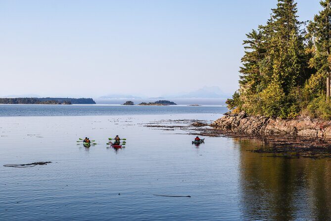 Vancouver Island: 2-Hour Evening Kayak Tour from Telegraph Cove - FAQ