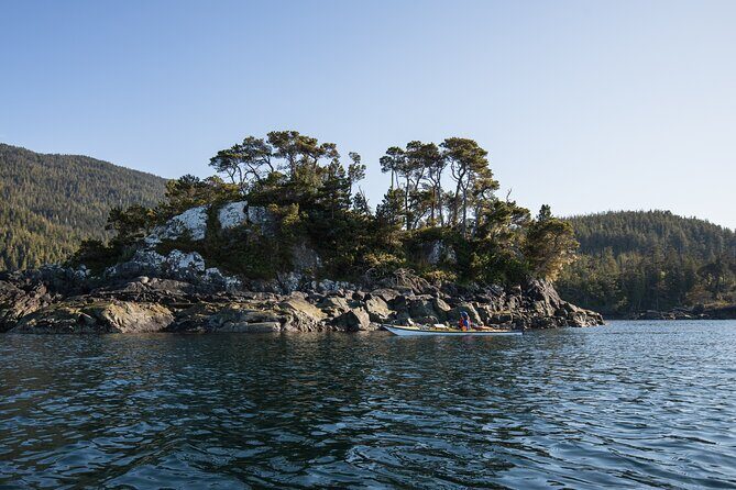 Vancouver Island: 2-Hour Guided Kayak Tour from Telegraph Cove - The Sum Up