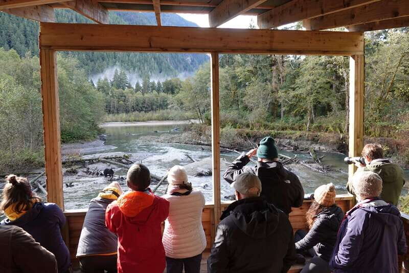 Vancouver Island: Full-Day Grizzly Bear Tour at Toba Inlet - Final Thoughts